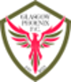 Phoenix FC logo